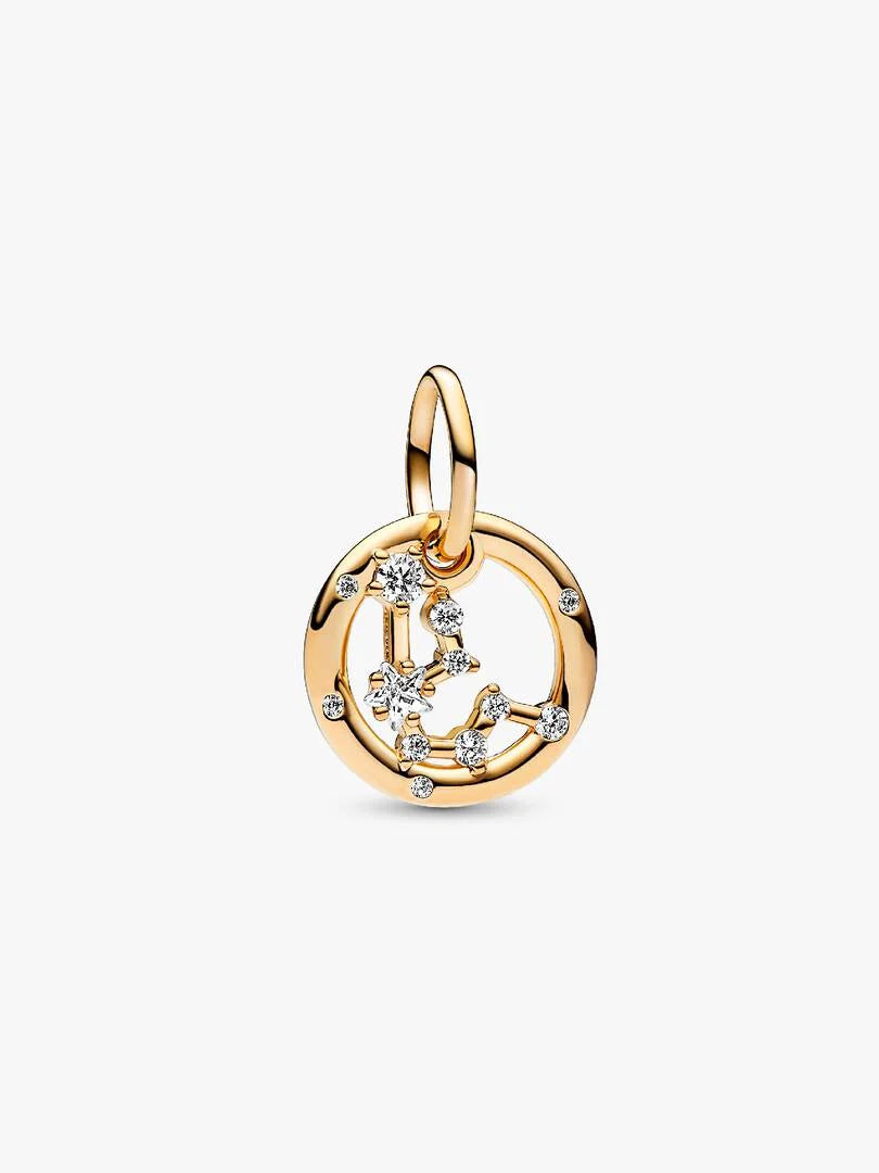 Aquarius Zodiac Dangle Charm
