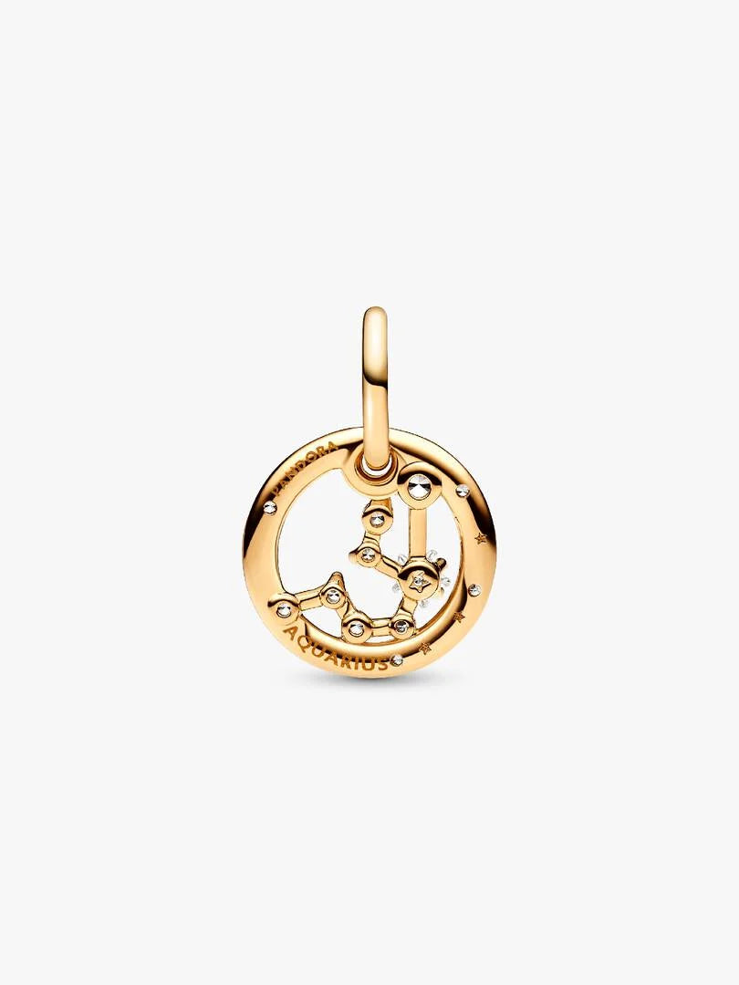 Aquarius Zodiac Dangle Charm