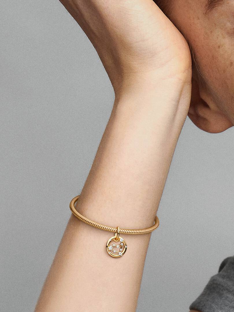 Capricorn Zodiac Dangle Charm