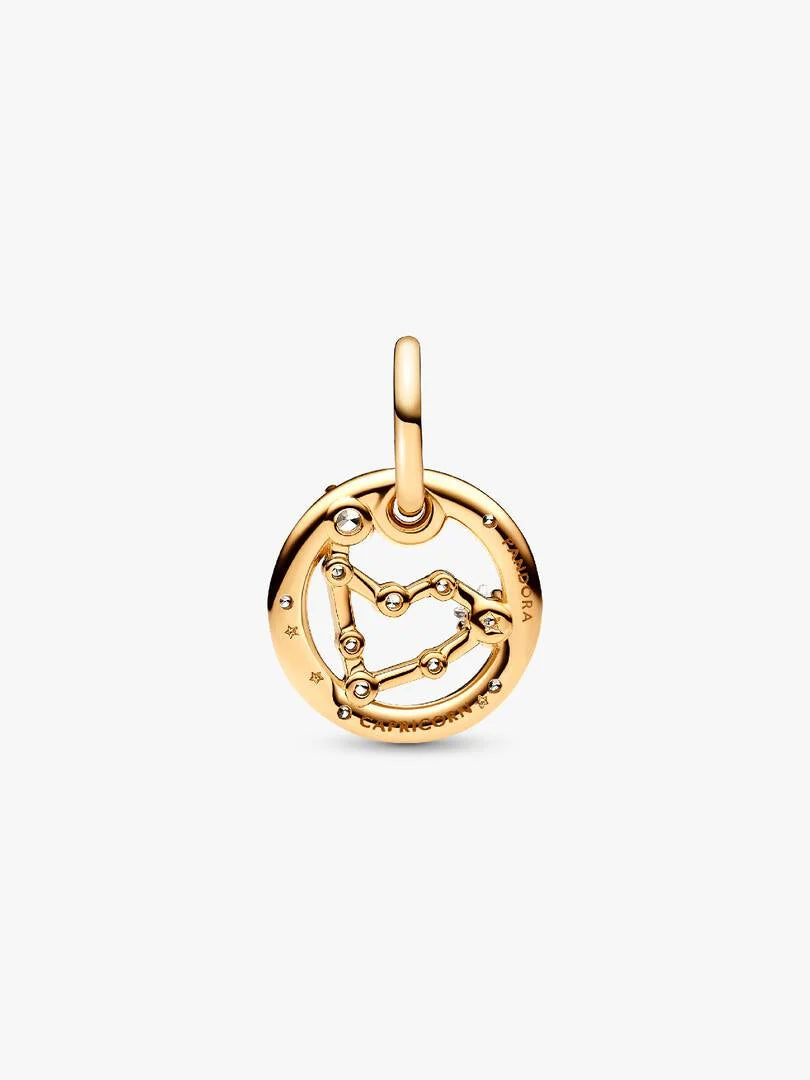 Capricorn Zodiac Dangle Charm
