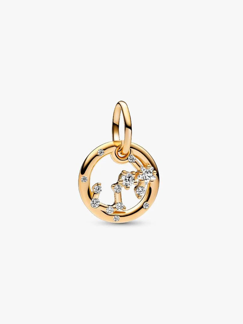 Scorpio Zodiac Dangle Charm